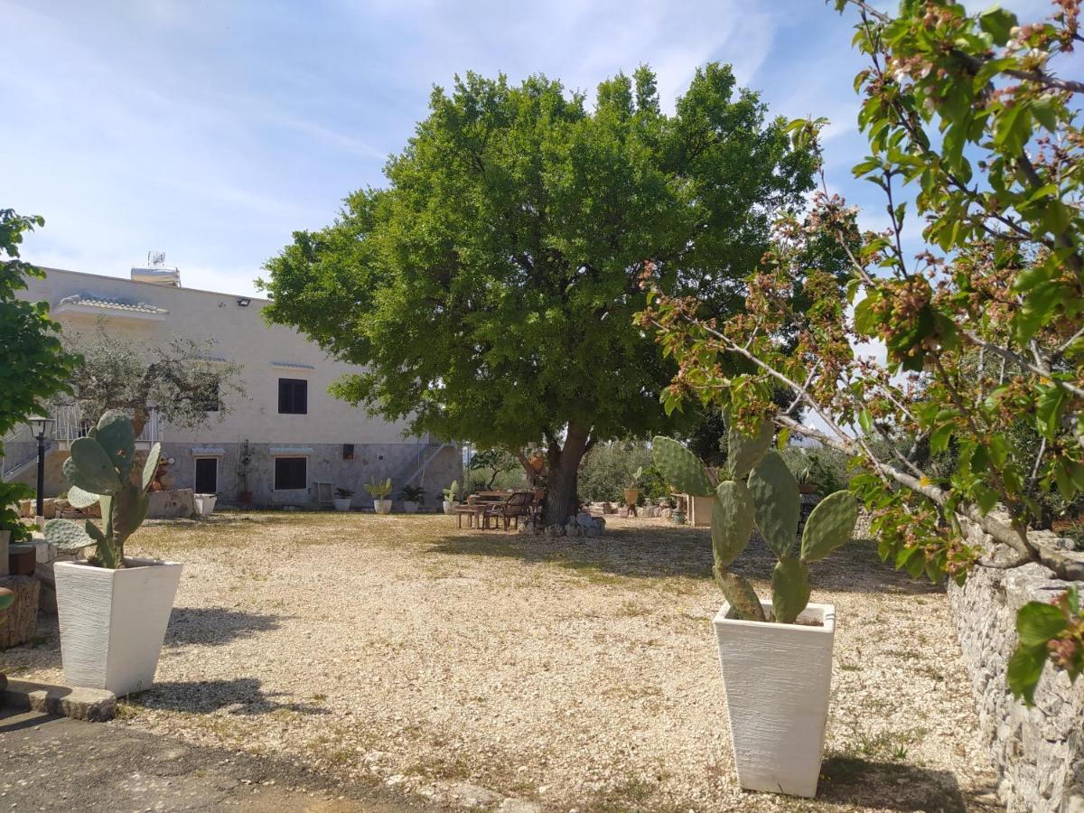 Da Gio - Casa Vacanze A Locorotondo Luaran gambar